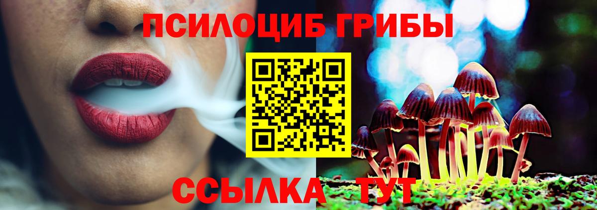 Барабинск  Галлюциногенные грибы Cubensis  Псилоцибиновые грибы мицелий  Вход с VPN 